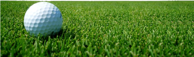 Golf Png - Golf Ball On Fairway (650x544), Png Download