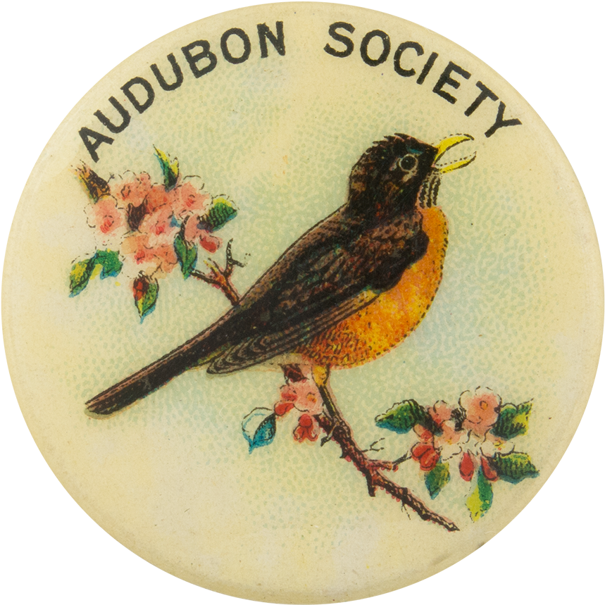 Audubon Society American Robin Club Button Museum - Mississauga Humane Society Logo (1000x974), Png Download