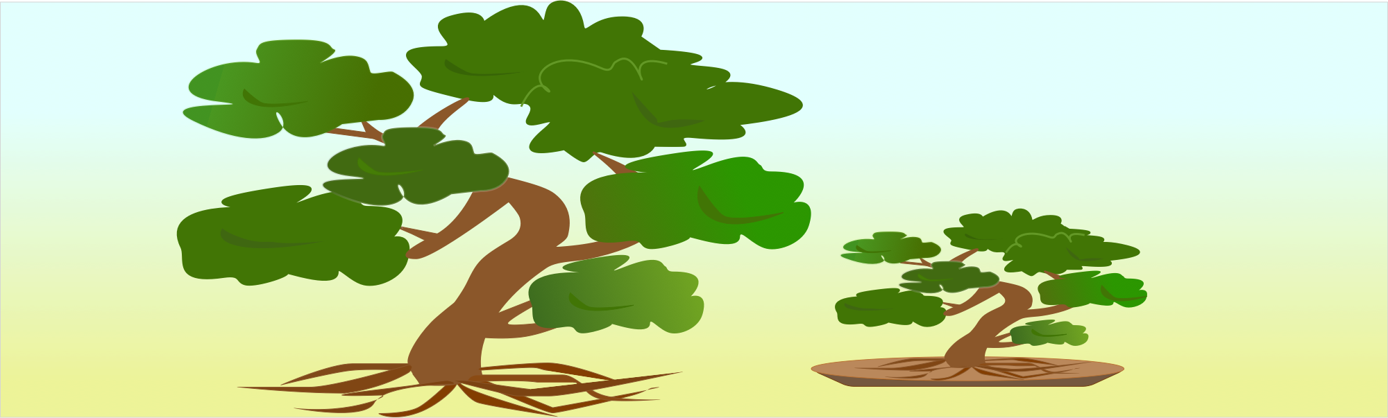 Bonsai - Illustration (2000x603), Png Download