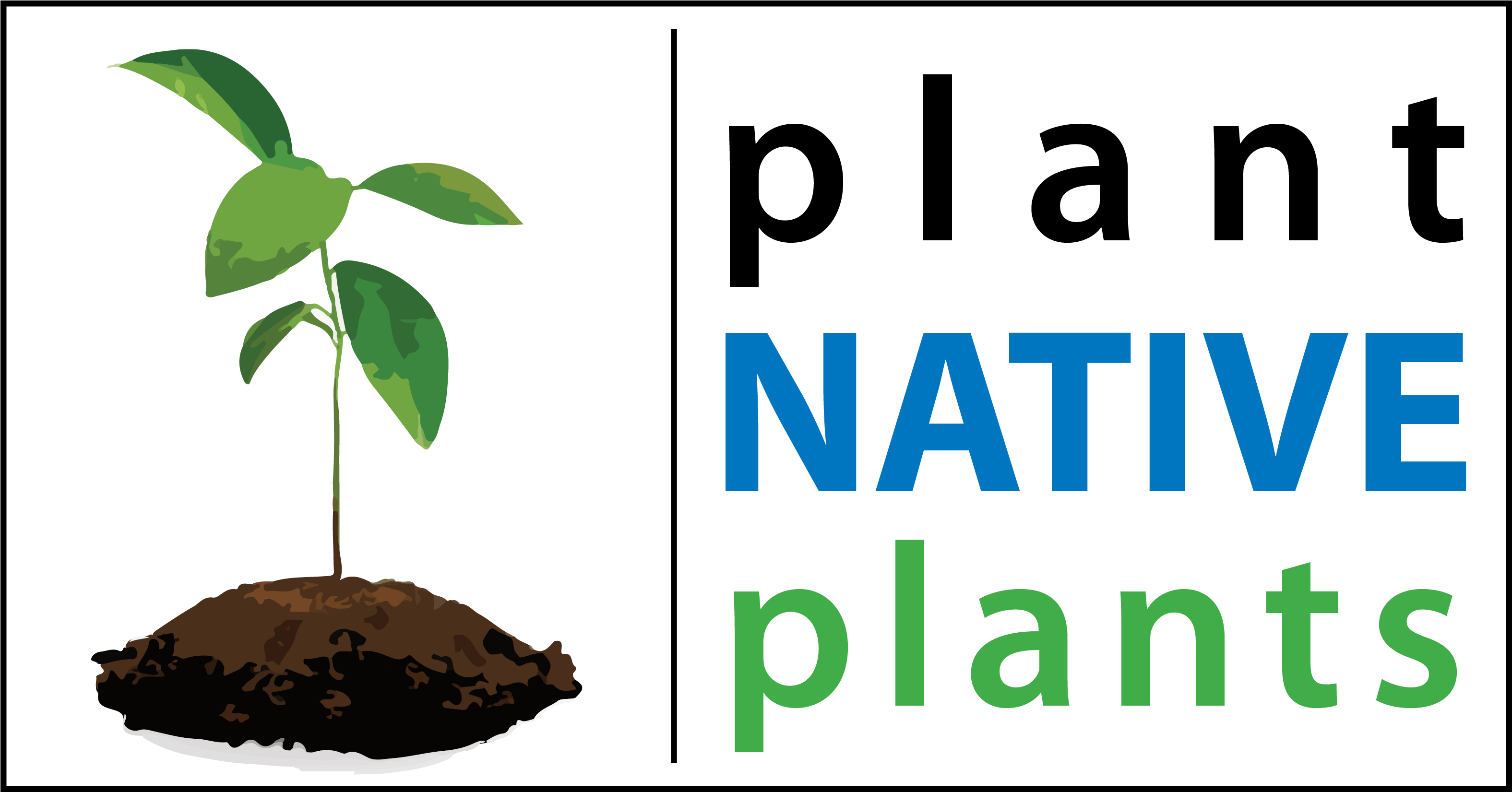 Spring Tree And Plant Sale - Houseplant (3300x1800), Png Download