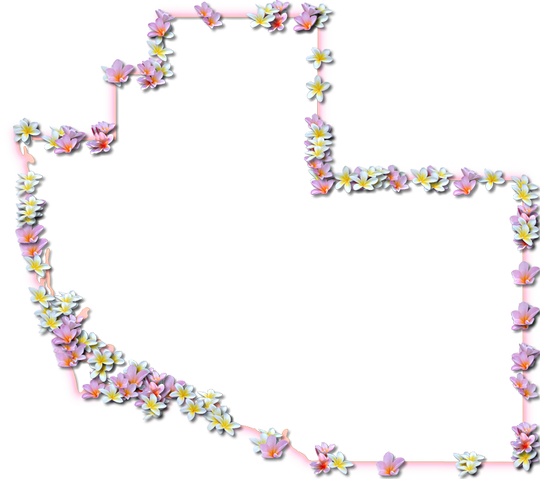 A Map Of Collier With A Coral Color Glow Border And - Art (768x681), Png Download