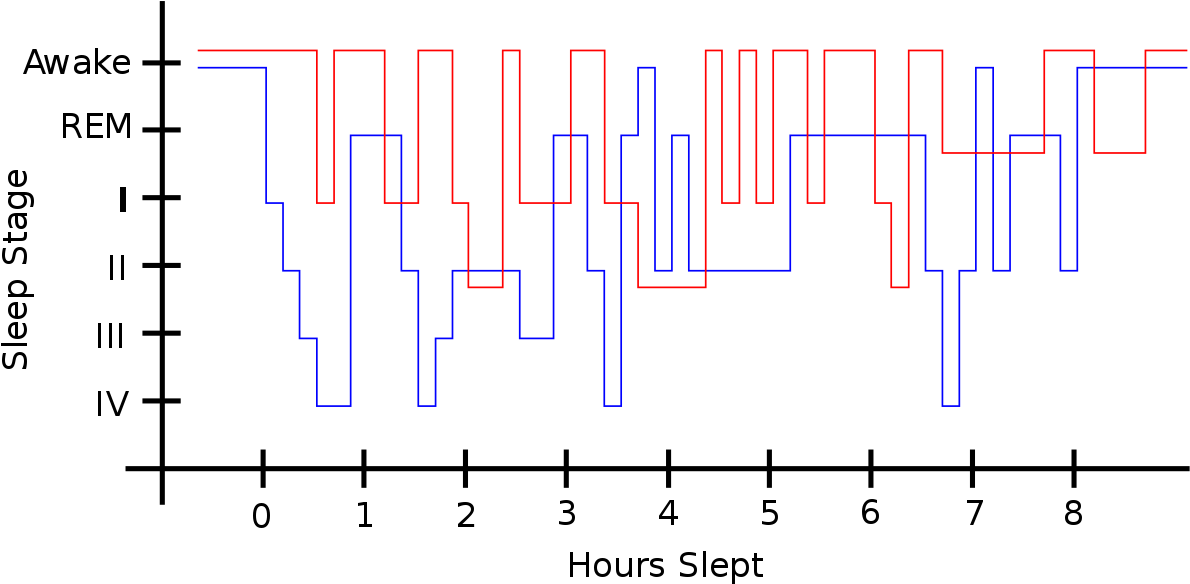 Motivation And Emotion/book/2016/sleep And Motivation - Diagram (1200x592), Png Download