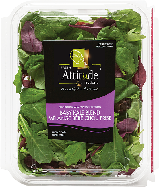 Bébé Chou Kale (554x650), Png Download