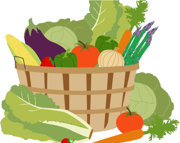 Coffee Plant Clipart Vegetable Plant - Vegetable Garden Png Clipart (640x480), Png Download