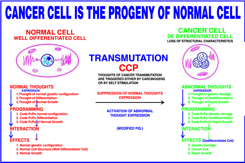 Phenomenon Of Cell Transmutation Into Cancer - Keep Refrigerated (850x565), Png Download
