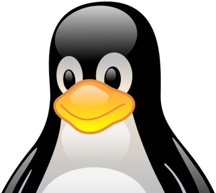 11 Reasons Why Open Source Is Taking Over Enterprise - Linux Maskotu (1200x675), Png Download