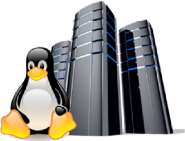 Linux Hosting Clipart Penguin - Hosting Servers (640x480), Png Download