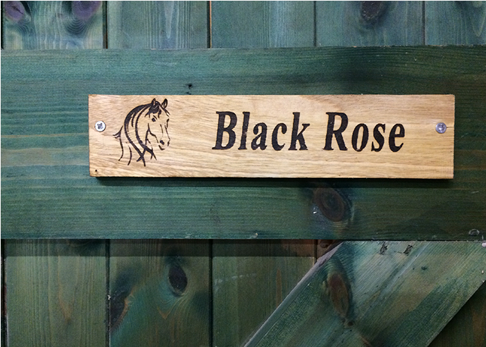 Bespoke Wooden Horse Signs - Plywood (700x700), Png Download
