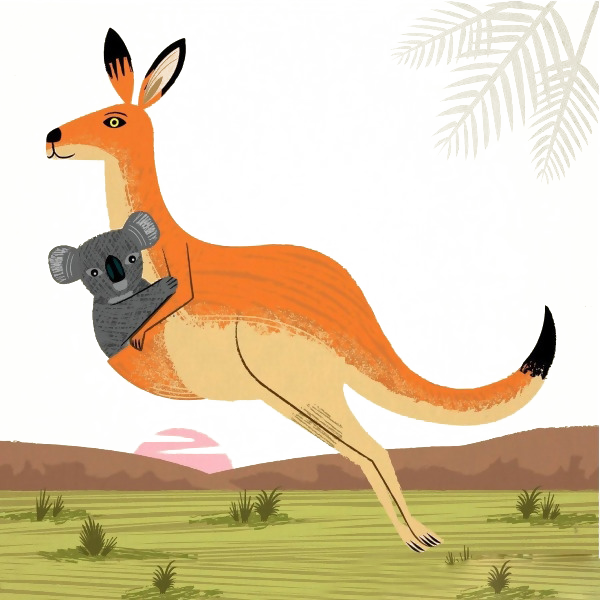 Koala And Kangaroo Png (600x600), Png Download