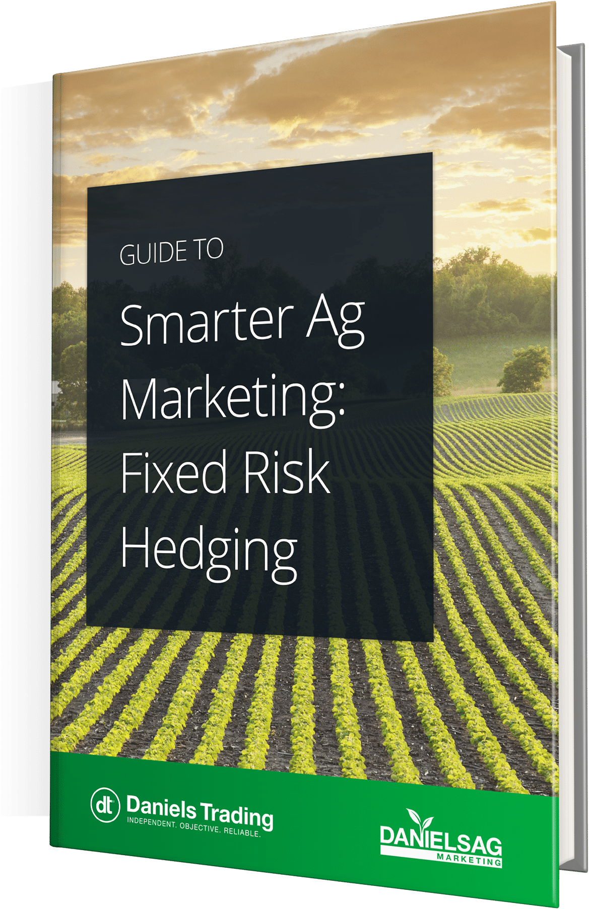 Bar Zebra (1602x1979), Png Download