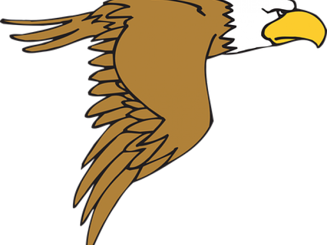 Bald Eagle Clipart Soaring Eagle - Eagle Clip Art (640x480), Png Download
