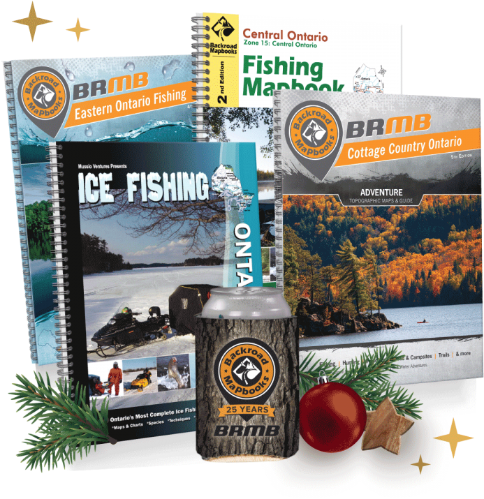 Tomato (750x750), Png Download