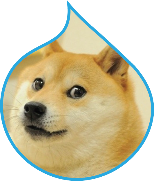 Doge - Doge Excited (531x621), Png Download