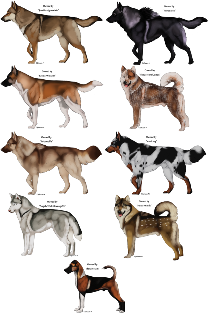 Vector Transparent Stock Pin By L Paige Murray On Creature - Dog Drawing Art Anime (736x1085), Png Download