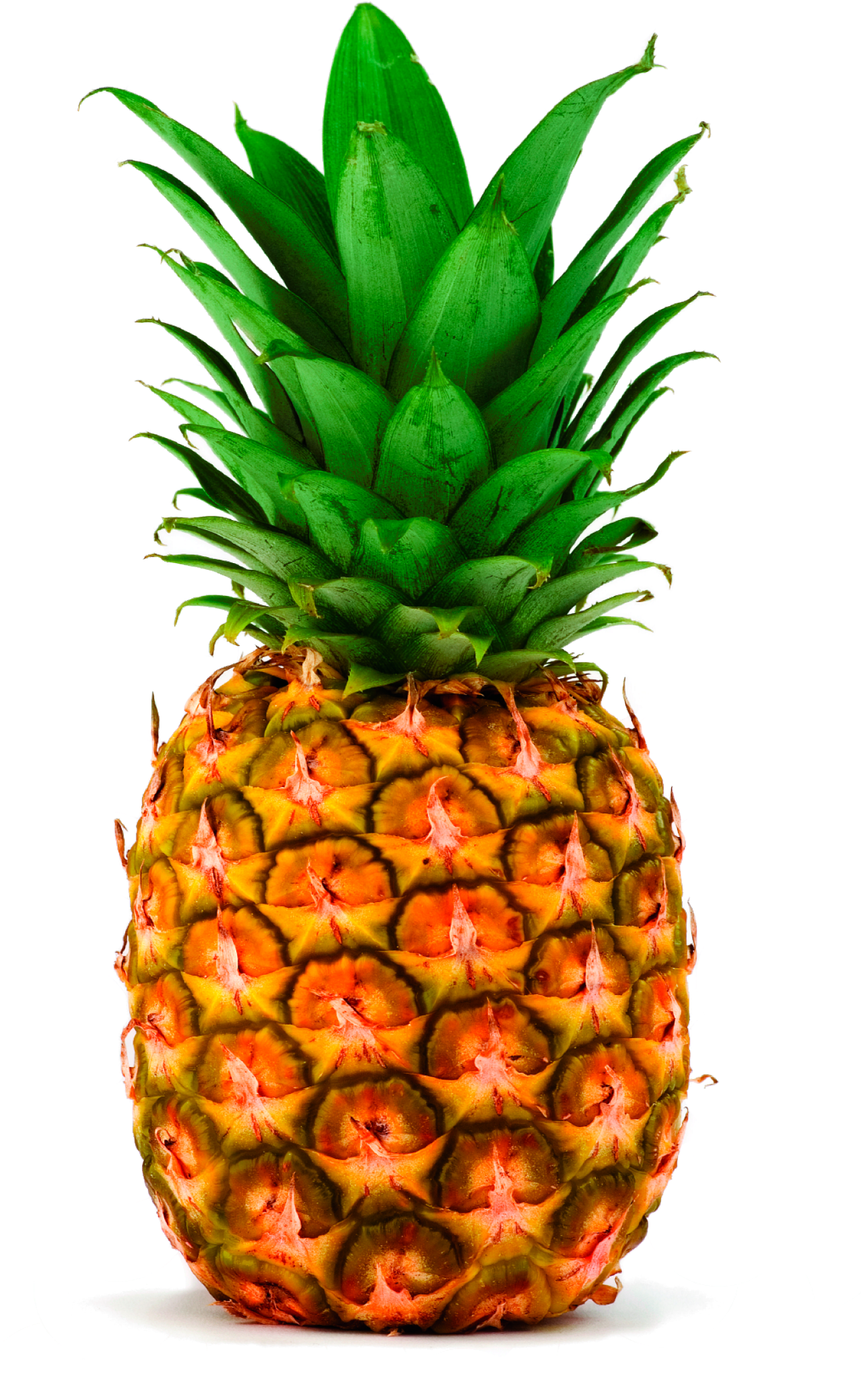 Download - Transparent Pineapple (2023x2305), Png Download