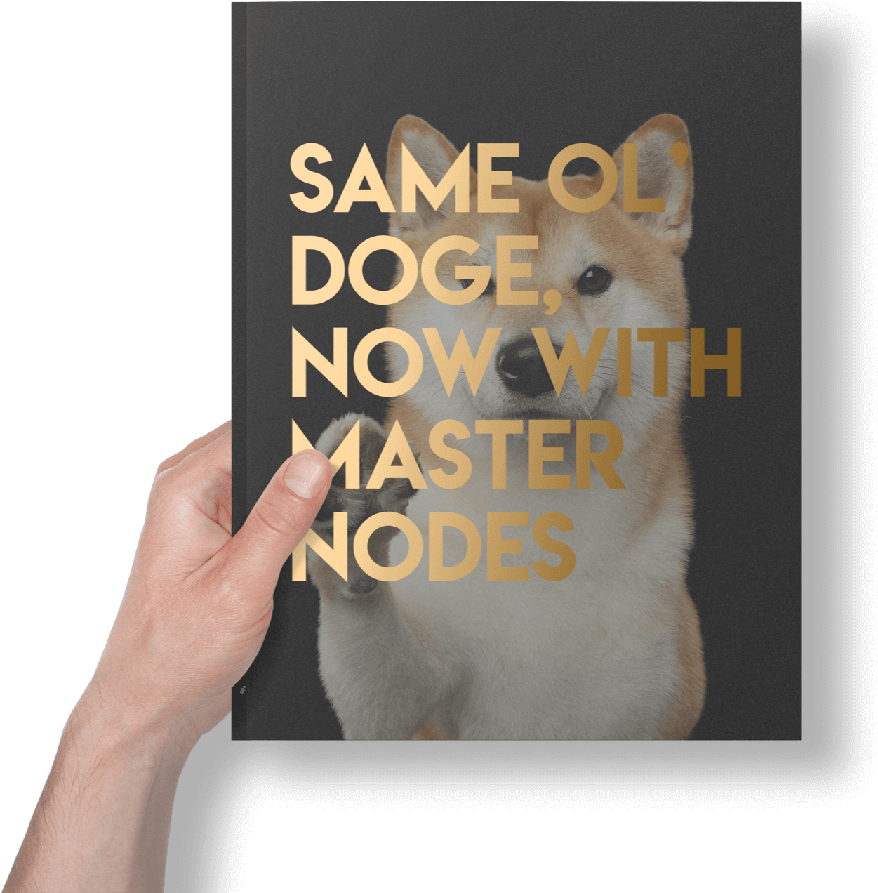 Whitepaper - Hippopotamus (1256x1281), Png Download