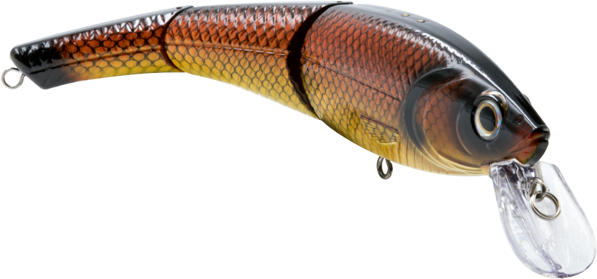 Bait Fish (1200x900), Png Download