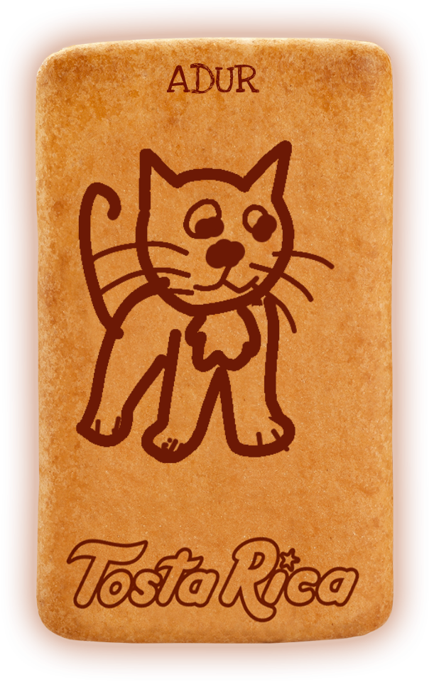 Katuaadur - Black Cat (604x960), Png Download