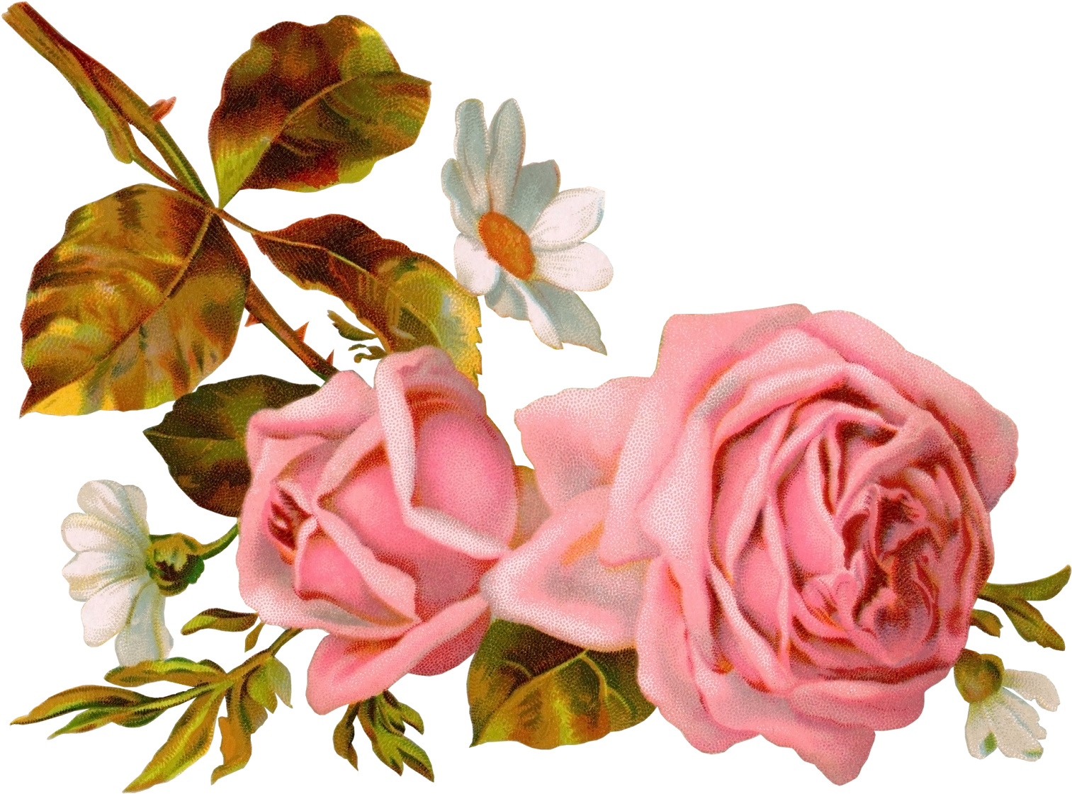 Png Клипарт "vintage Flowers" - Background With Watercolor Roses (1600x1230), Png Download