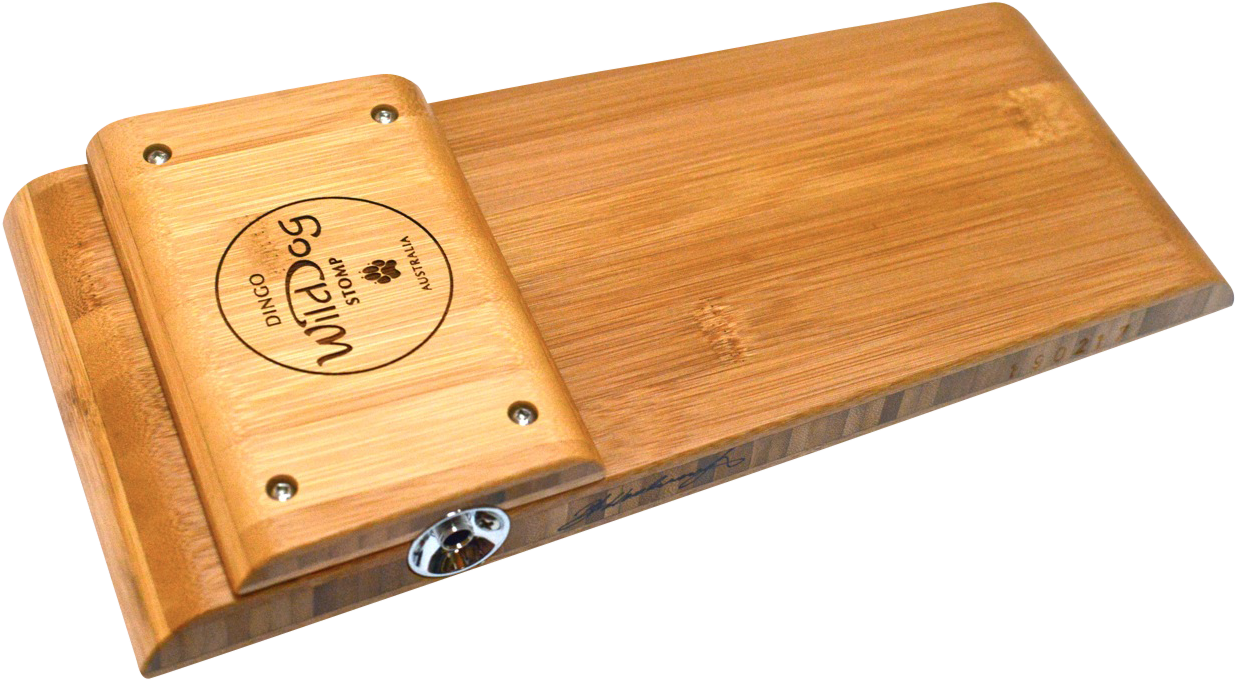 Wild Dog Stomp Box -dingo - Dingo (1280x853), Png Download