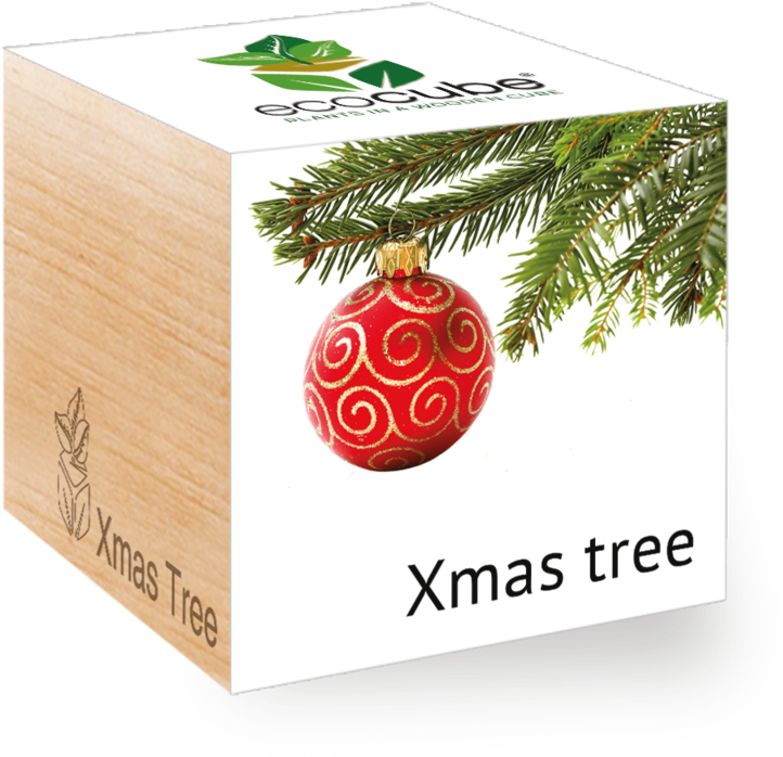 Ecocube Christmas Tree (800x800), Png Download