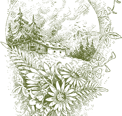 Drawn Floral Vector Png Vintage - Nl Чай Очищающий (640x480), Png Download