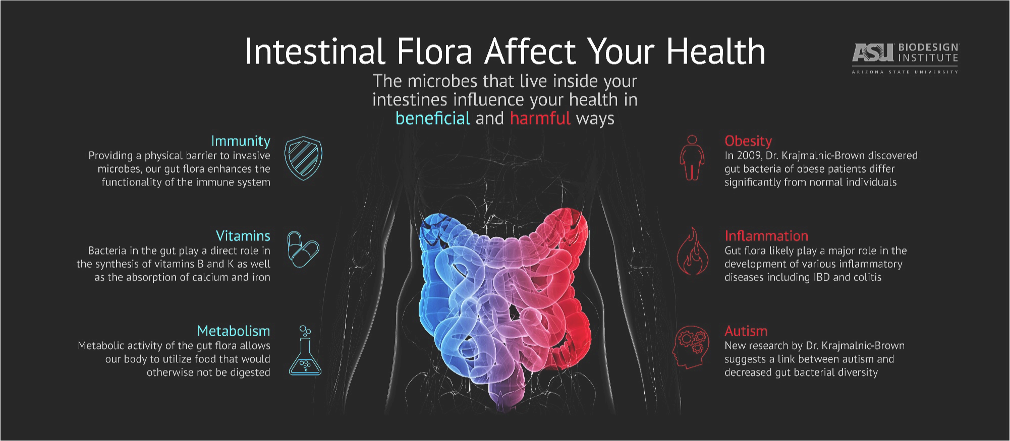 Affecthealth - Intestinal Flora Affect Your Health (2002x875), Png Download