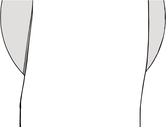 Scroll Clipart Frame - Line Art (640x480), Png Download