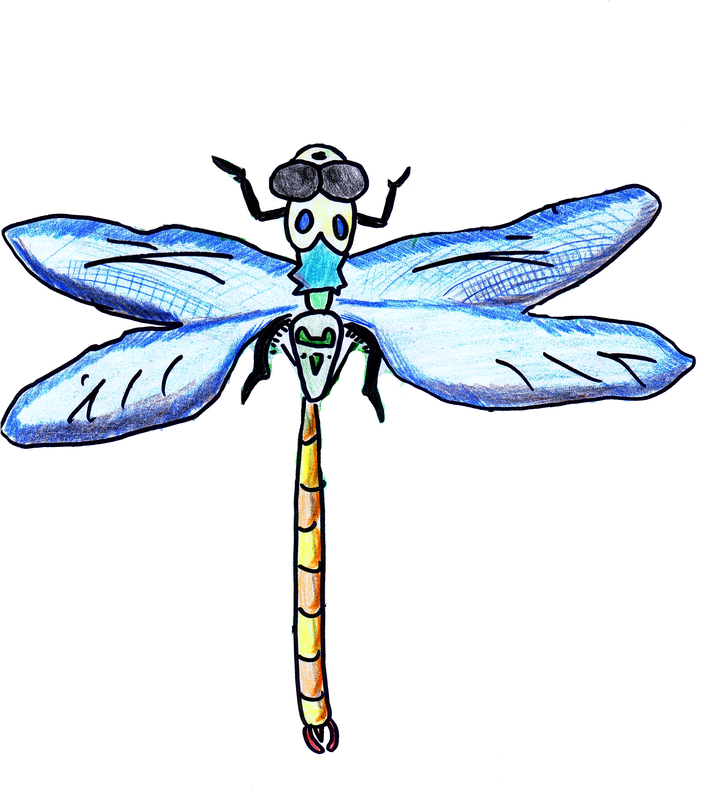 Picture Free Stock Dragonfly Kidzera By Ju Won P Age - Dragonfly (2355x2647), Png Download