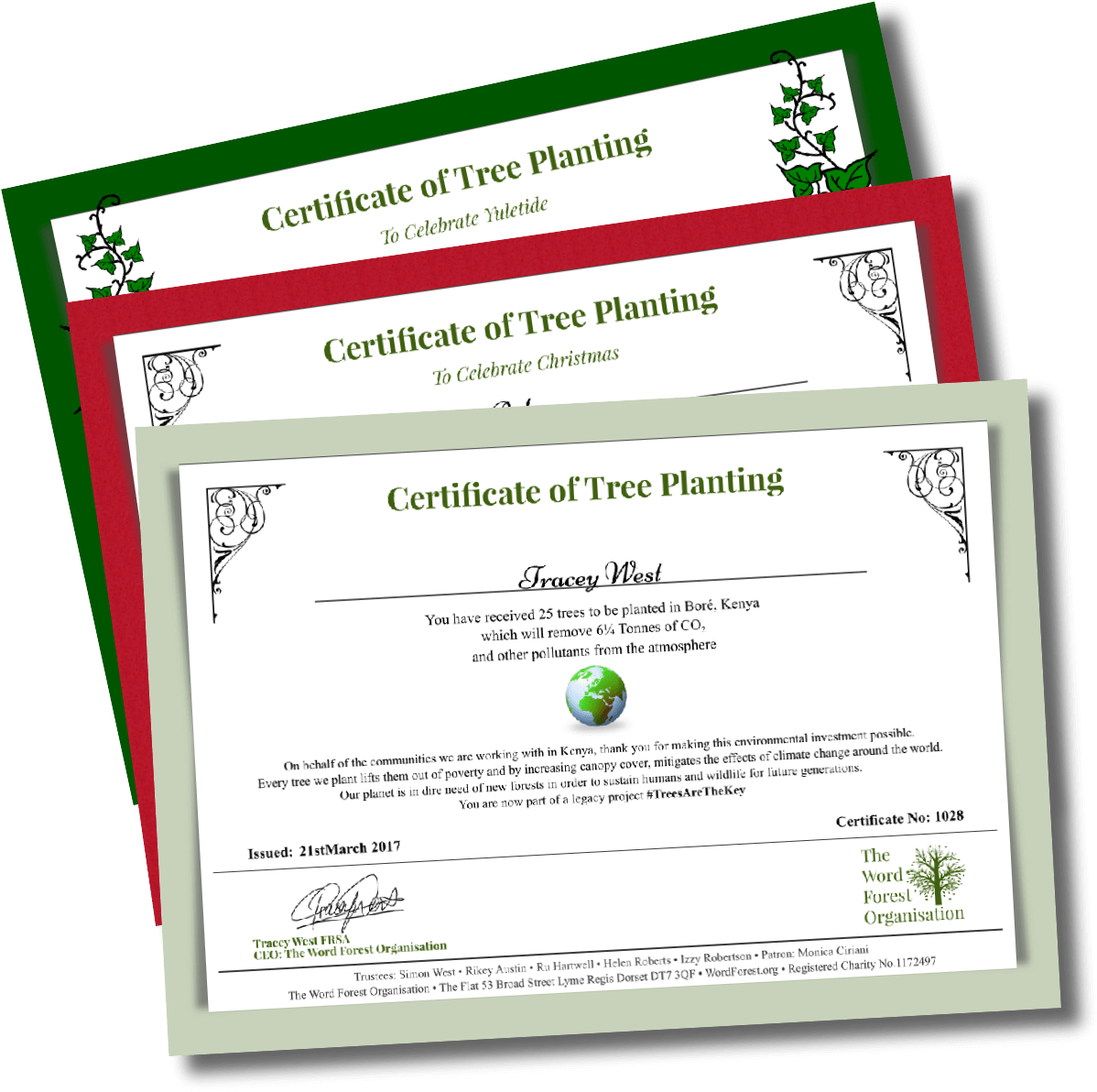 Tree Gift Certificates - Acre Of Land Certificate (1200x1200), Png Download