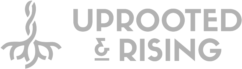 Ur Bw Secondary Slate - Calligraphy (1000x384), Png Download