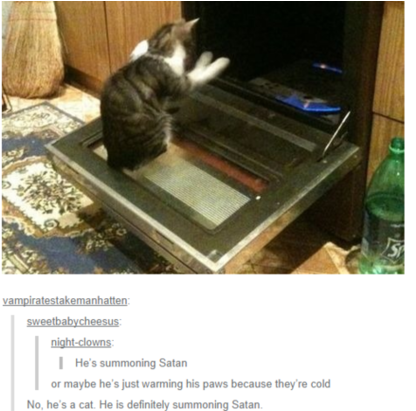 Hilarious Tumblr Posts Transparent Background - Its Cold Outside Funny (810x510), Png Download