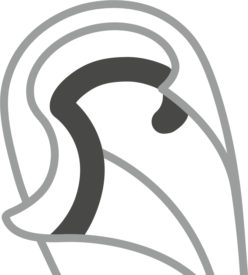 Astro Pro - Illustration (1001x1109), Png Download