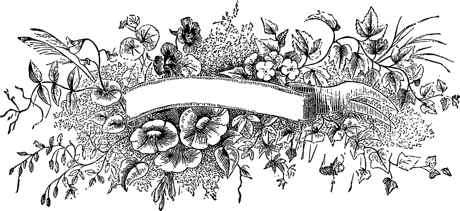 Digital Floral Banner Downloads - Illustration (1600x772), Png Download