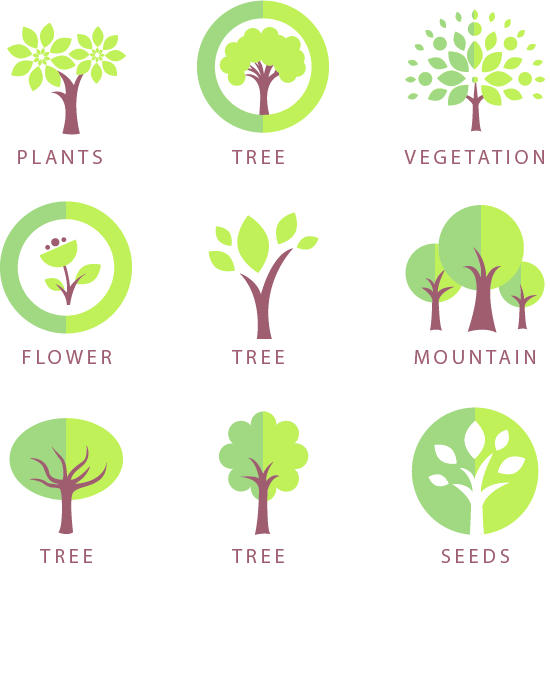 Tree Icon Design Logo Icon - Tree (550x679), Png Download