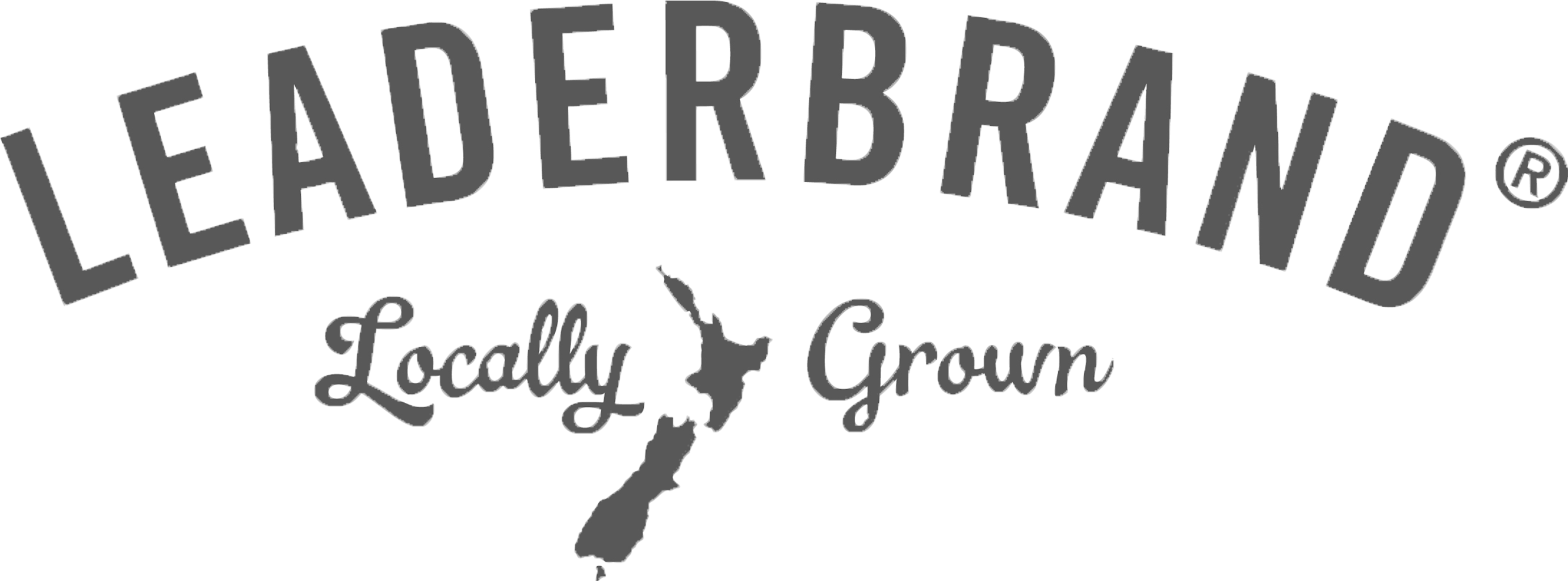 Home » Services » Candidate Registration Icon - Map Of New Zealand (3016x1362), Png Download