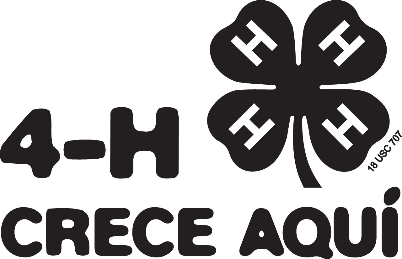4 H Grows Here B - 4 H Clover (1281x826), Png Download