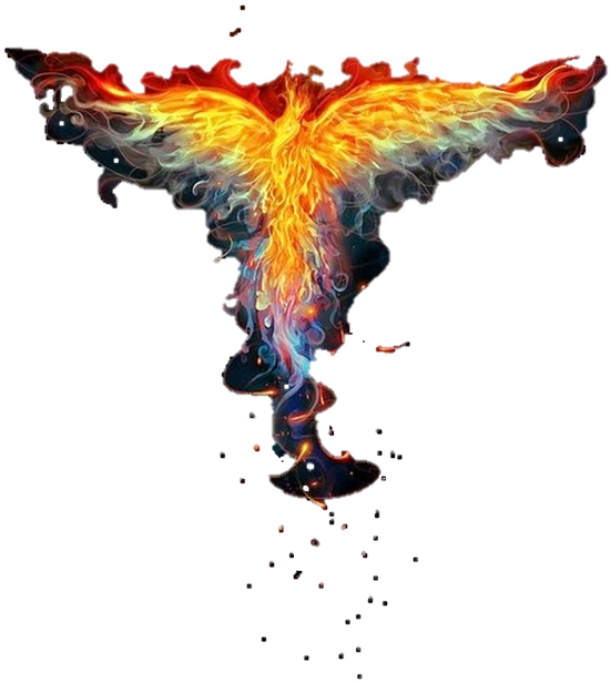 Rise Above Burnout - Phoenix Head (600x662), Png Download