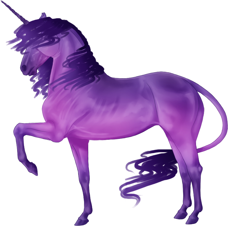 800 X 800 4 - Purple Pictures Of Unicorn (800x800), Png Download