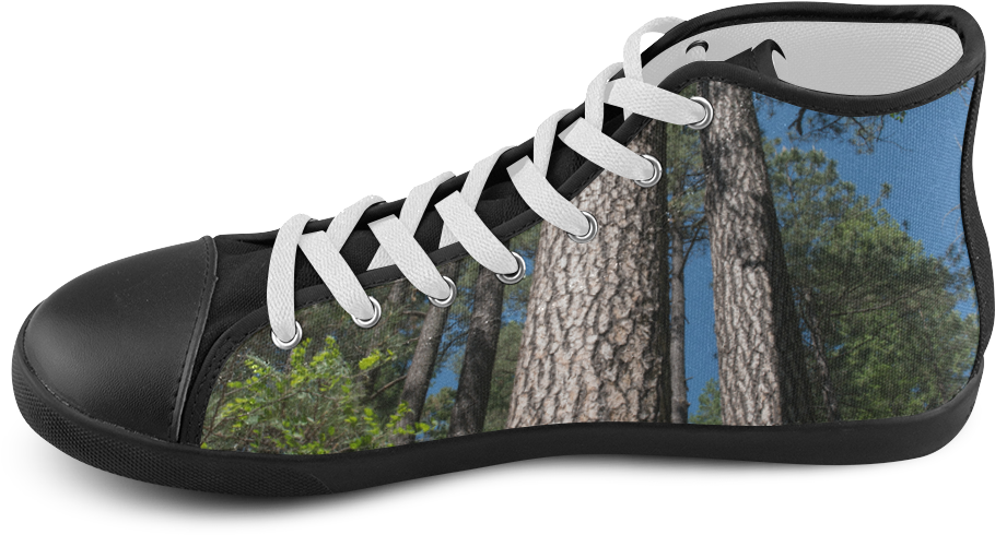 Tall Pine Trees Mt Lemmon Arizona High Top Canvas Kid's - Outdoor Shoe (1000x1000), Png Download