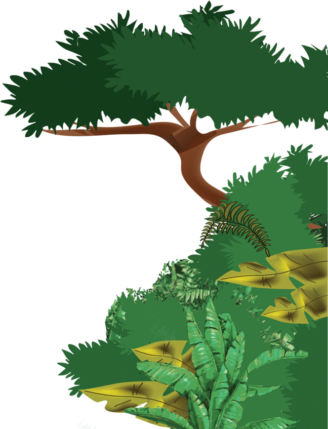 Rainforest Clipart Big Plant - Selva Dibujos Png (690x877), Png Download