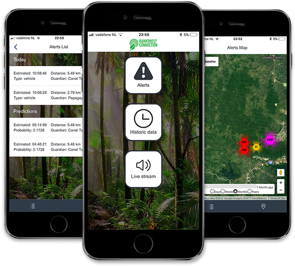 Rainforest Connection App - Iphone (640x554), Png Download