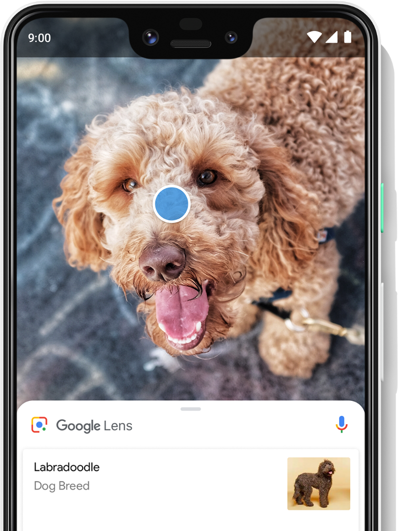 Google Pixel - Pixel 3 Telus (1200x1200), Png Download