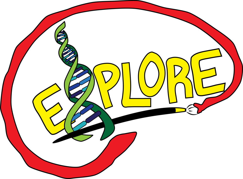 Helix-paintbrush Brain Logo&nbsp - Exploration Clip Art (1000x738), Png Download