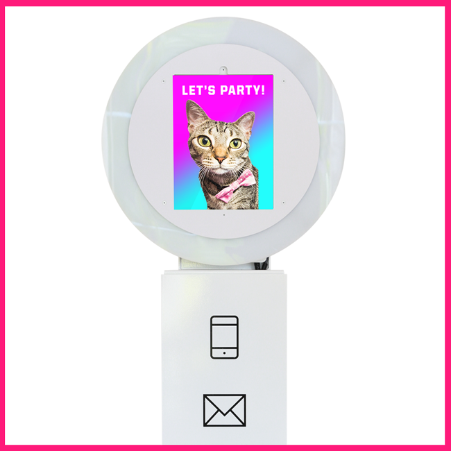 Raleigh Gif Photo Booth Rental - Domestic Short-haired Cat (650x650), Png Download