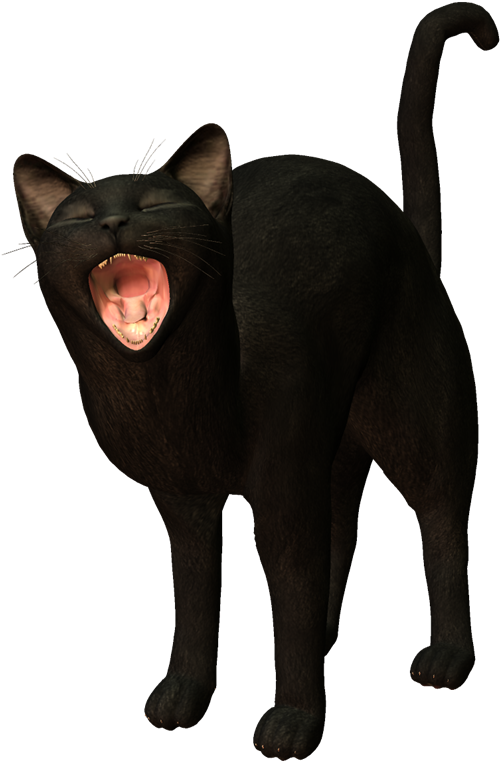 Blog De Gifs Y Imágenes - Black Cat (549x800), Png Download