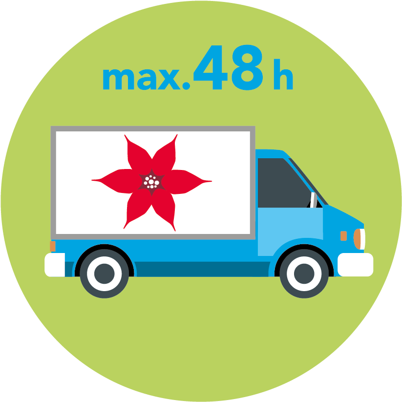 Colour - Png - City Car (1004x1004), Png Download