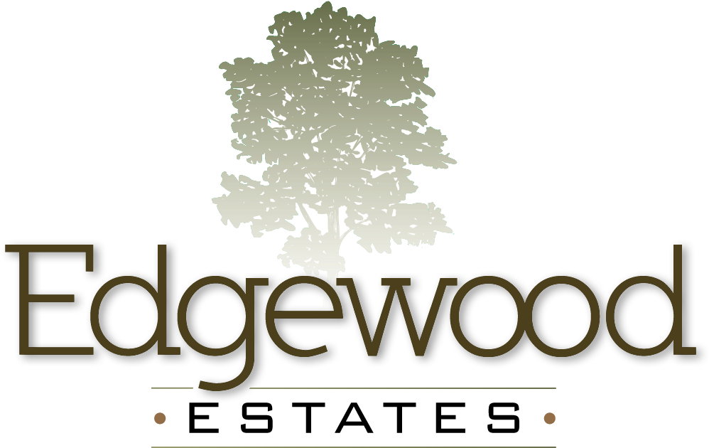 Sales Center Hours - Tree (1125x750), Png Download