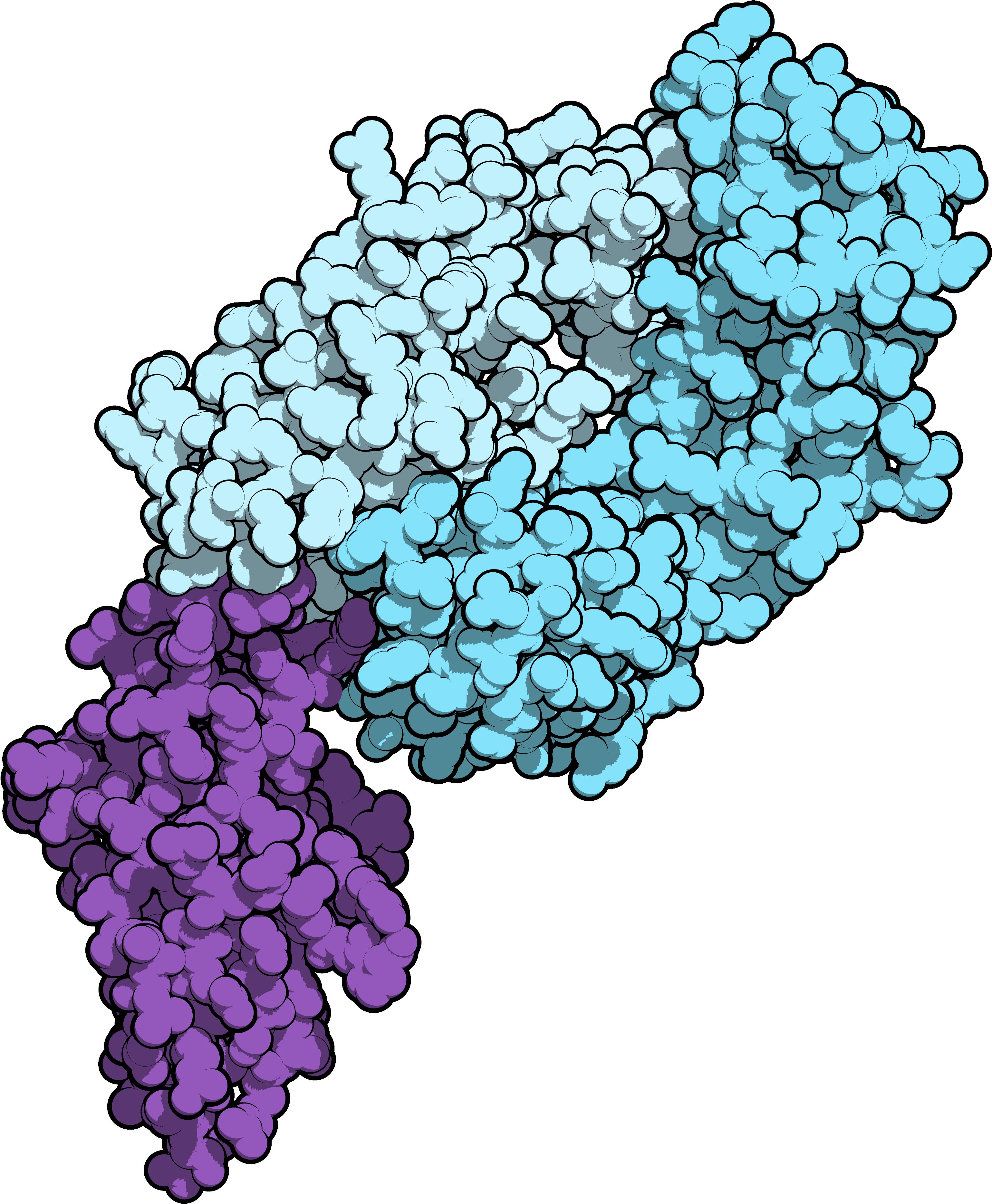 Nivolumab Antibody (3564x4096), Png Download