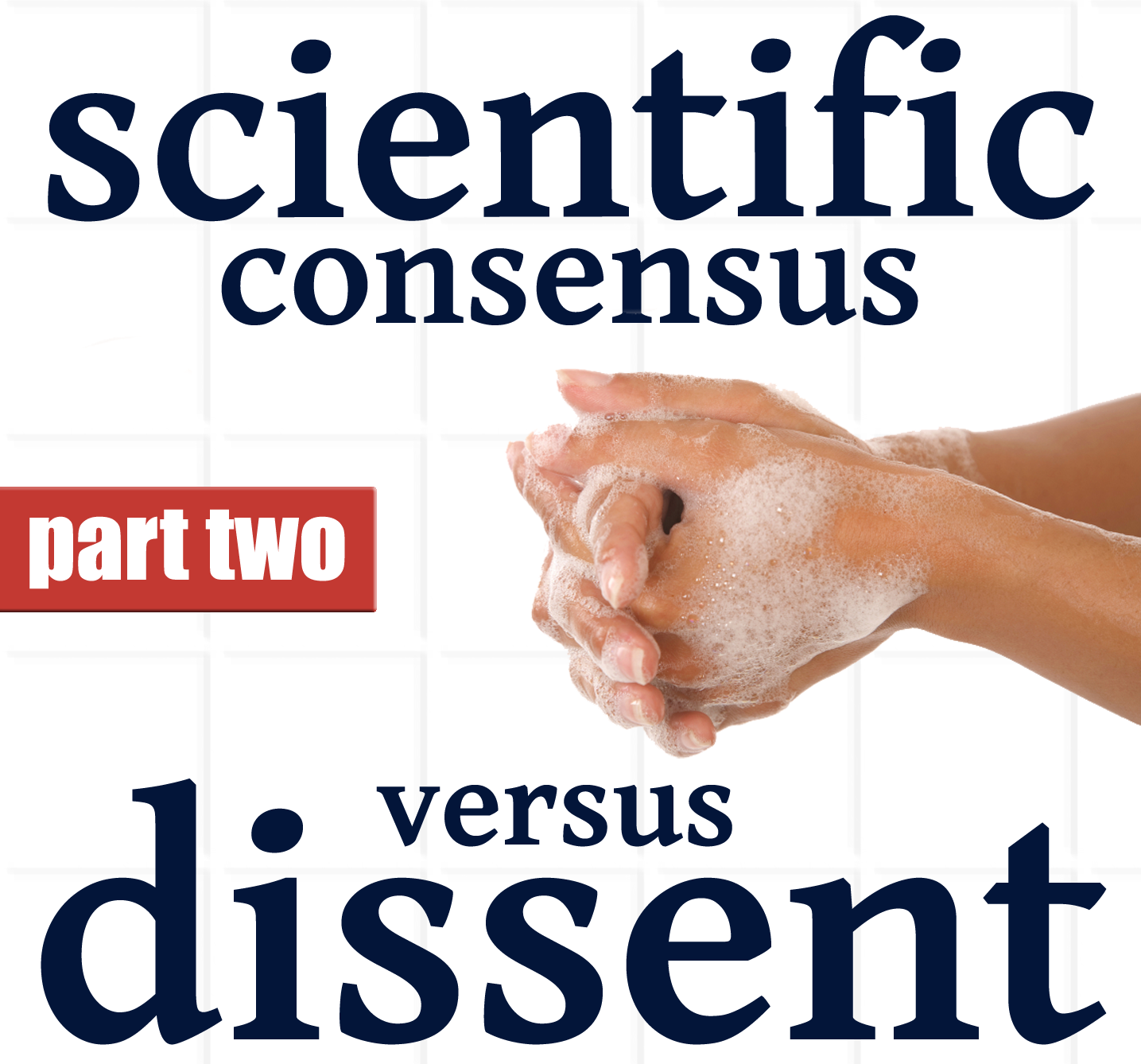 This Show Continues A Series That Will Examine The - Robert Bosch Stiftung (1435x1338), Png Download